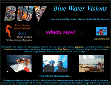 Tablet Screenshot of bluewatervisions.com